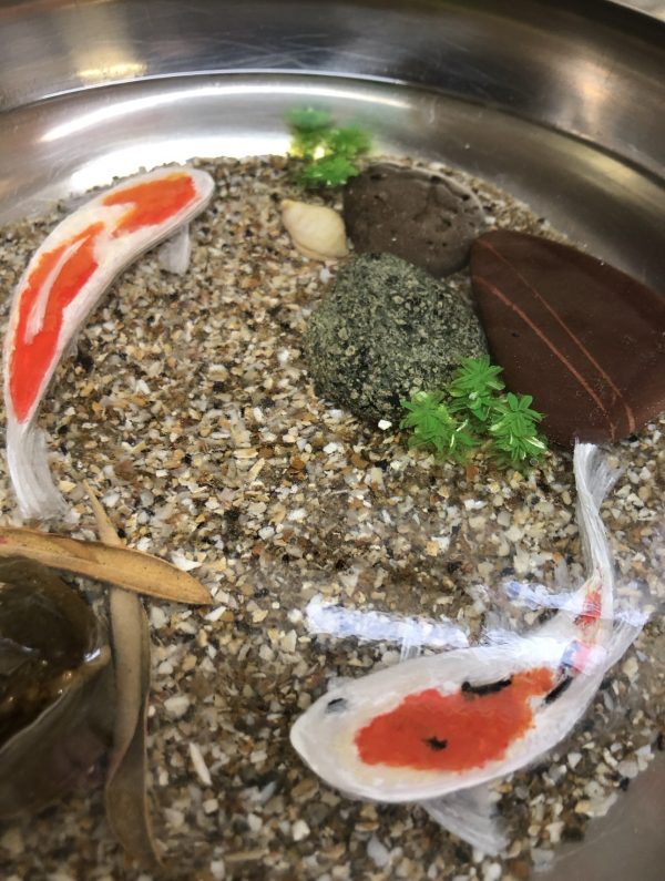 Koi in white and orange in a bowl with stones in the bottom